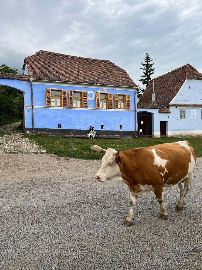 Viscri 32 - White Barn And Blue House Hotel Exterior foto